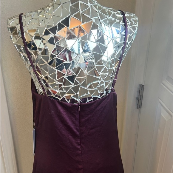 Bailey / 44 Leilani Burgundy Slip Dress with Feather Hem - Picture 9 of 12